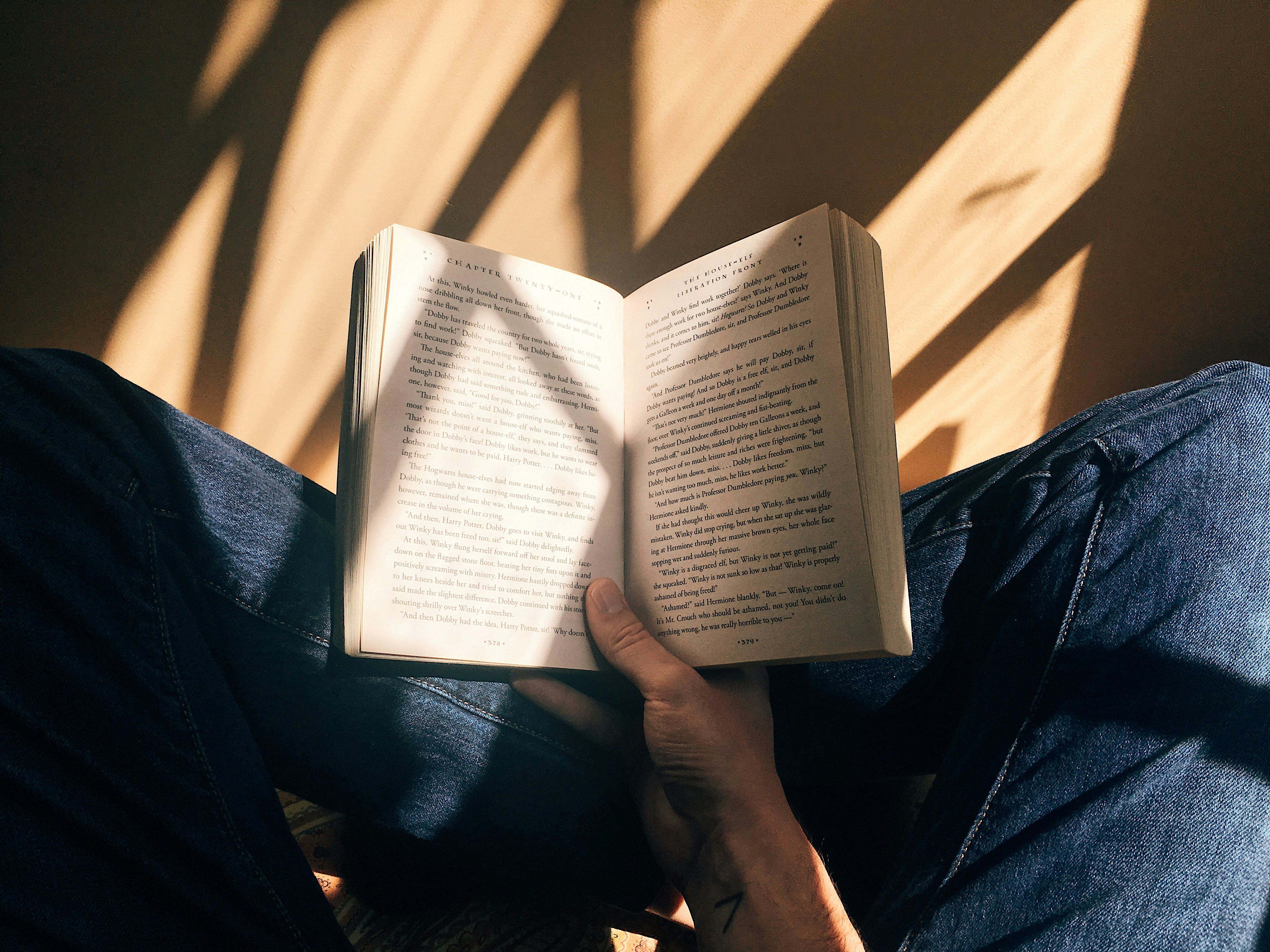 Reading a book in sunlight with leaf shadows on lap — Kindle case study